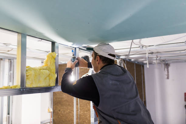 Best Insulation Contractors for Homes  in Sturgeon, MO