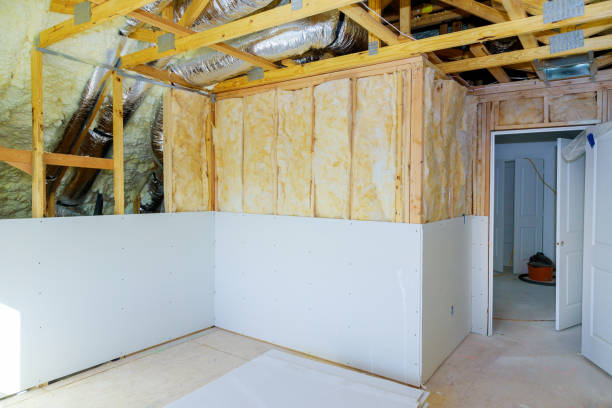 Best Spray Foam Insulation  in Sturgeon, MO