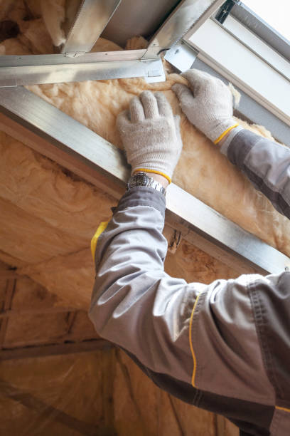 Best Attic Insulation Near Me  in Sturgeon, MO