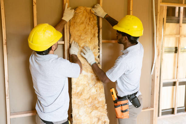 Best Local Insulation Services  in Sturgeon, MO