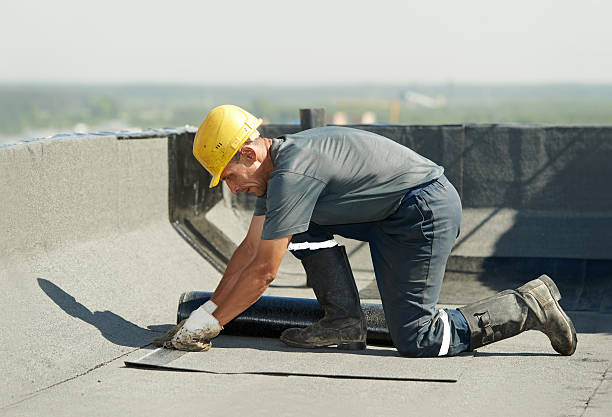 Best Energy-efficient Insulation  in Sturgeon, MO