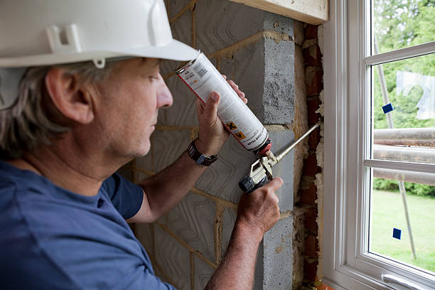 Best Fiberglass Insulation  in Sturgeon, MO