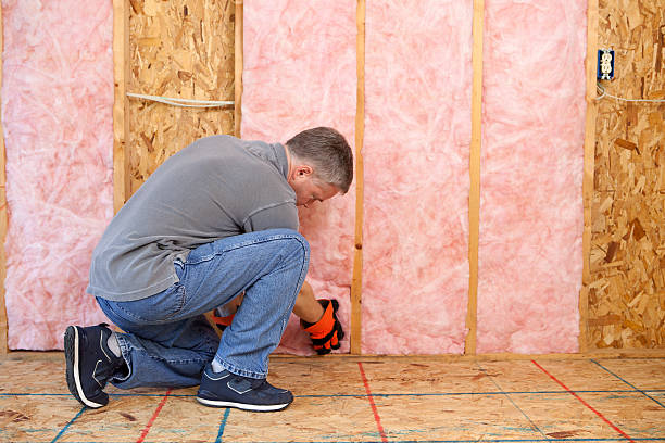 Best Insulation for New Construction  in Sturgeon, MO