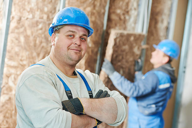 Best Fiberglass Insulation  in Sturgeon, MO