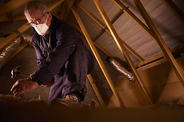 Best Best Insulation Companies  in Sturgeon, MO