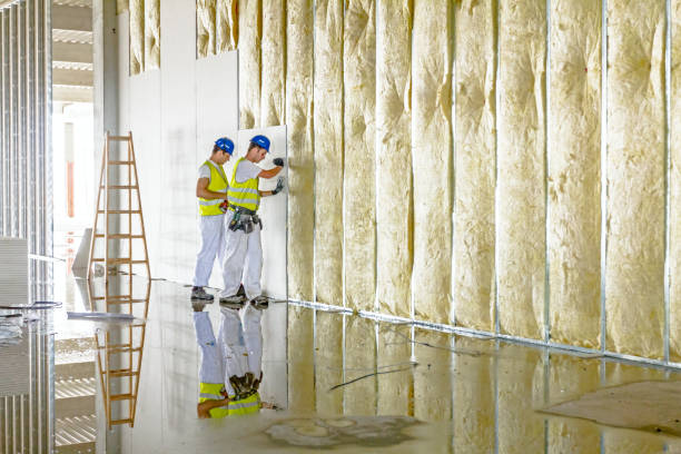 Best Insulation Repair Services  in Sturgeon, MO